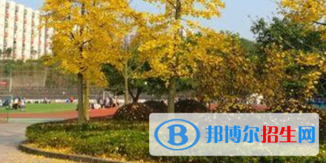 四川育英醫(yī)養(yǎng)科技技工學(xué)校怎么樣、好不好