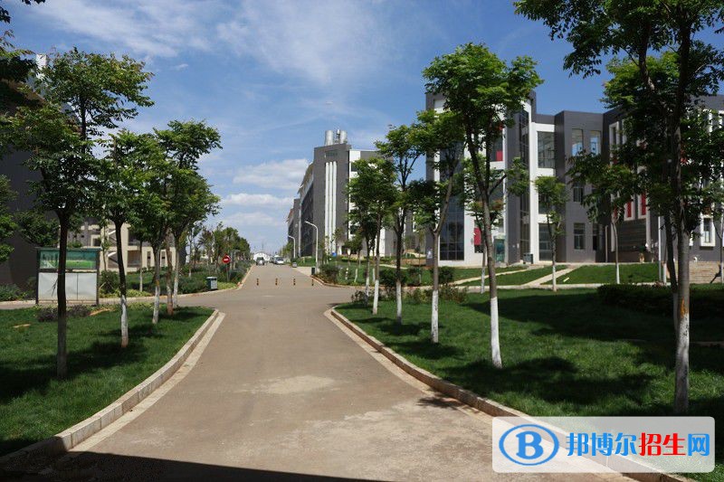 云南城市建設(shè)職業(yè)學院五年制大專2021年招生代碼