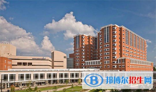 北京舞蹈學(xué)院附屬中等舞蹈學(xué)校怎么樣、好不好