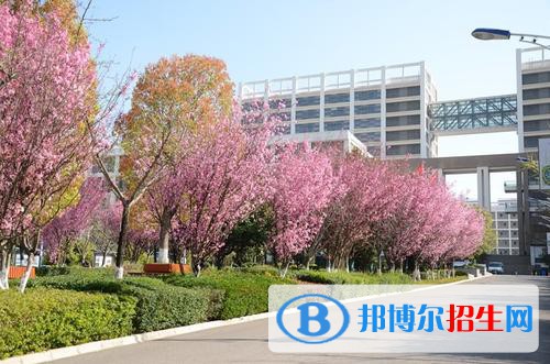 昆明2021年好一點的衛(wèi)校大專學(xué)校