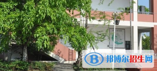 四川2021年計算機學(xué)校開設(shè)有哪些課程
