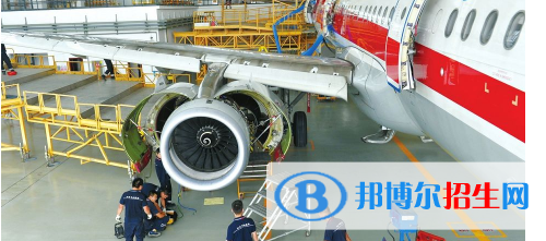 甘肅2021年航空服務(wù)學?？梢詫W什么