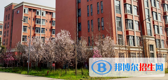 樂山市醫(yī)藥科技高級技工學(xué)校成都校區(qū)網(wǎng)站網(wǎng)址