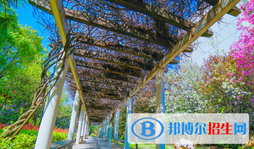 貴州2022年中?？梢愿呖紗? width=
