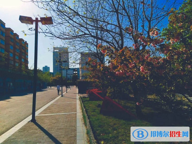 徐州醫(yī)藥高等職業(yè)學(xué)校怎么樣、好不好