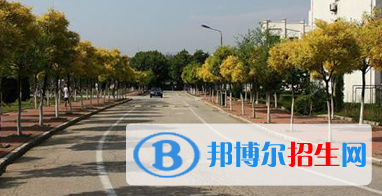 重慶2022年讀電子商務(wù)專(zhuān)業(yè)好嗎