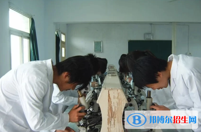 西安育才醫(yī)科職業(yè)學(xué)校怎么樣、好不好
