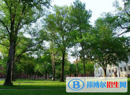 武強綜合職業(yè)技術(shù)教育中心2022年招生辦聯(lián)系電話