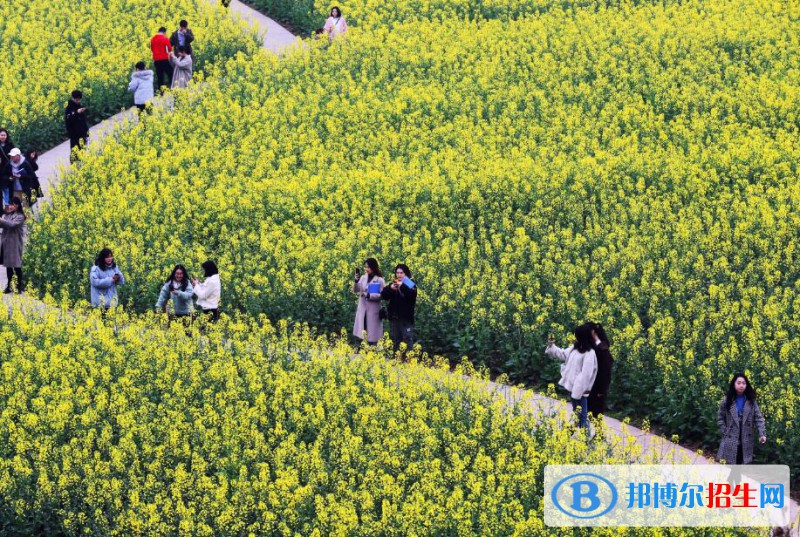 重慶商務職業(yè)學院2022年報名條件、招生要求、招生對象