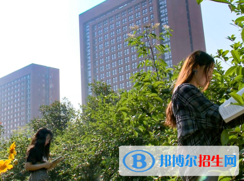 重慶2022年哪所建筑學校就業(yè)好