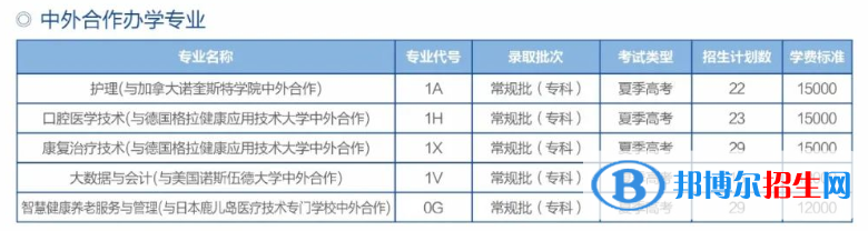濱州職業(yè)學院有哪些中外合作辦學專業(yè)？（附名單）