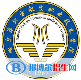 哈爾濱北方航空職業(yè)技術(shù)學(xué)院藝術(shù)類專業(yè)有哪些？（藝術(shù)類專業(yè)）