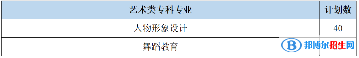 山東女子學院藝術(shù)類專業(yè)有哪些？