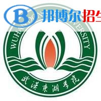 武漢東湖學(xué)院藝術(shù)類專業(yè)有哪些？（藝術(shù)類專業(yè)）