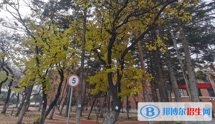 吉林實驗中學(xué)2023年招生辦聯(lián)系電話 