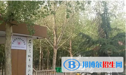 石家莊2023年計算機學校什么專業(yè)好