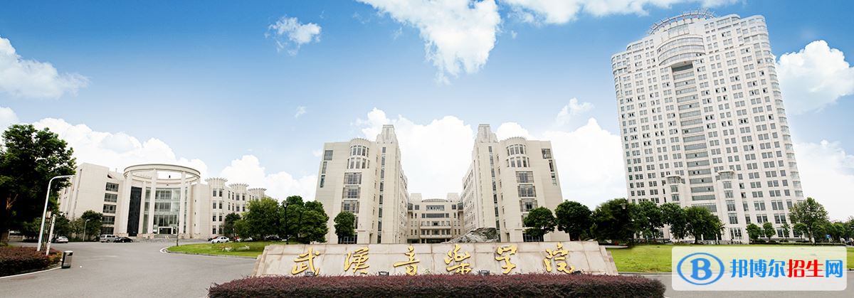 2022 武漢音樂(lè)學(xué)院全國(guó)排名（武漢音樂(lè)學(xué)院歷年全國(guó)排名）-2023年參考