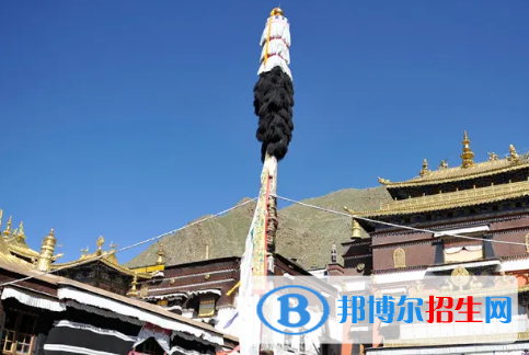 日喀則中考語(yǔ)文滿分是多少分