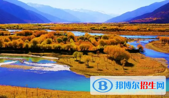 林芝中考化學總分(滿分）是多少（附林芝化學中考成績查詢?nèi)肟冢? width=