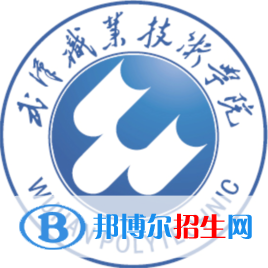 武漢職業(yè)技術(shù)學院是大專還是中專（武漢職業(yè)技術(shù)學院）