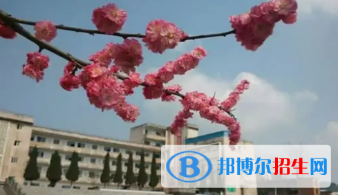 遵義中考數(shù)學(xué)總分(滿分）是多少（附遵義中考成績查詢?nèi)肟冢? width=