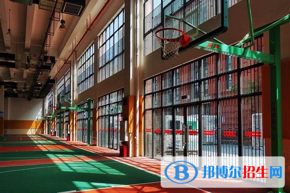 重慶第八中學(xué)校國際部2023年錄取分?jǐn)?shù)線