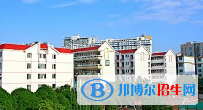 廣西2023年計(jì)算機(jī)學(xué)校有哪些專(zhuān)業(yè)適合女生