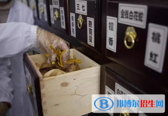 杭州2023年中專(zhuān)學(xué)校學(xué)什么好找工作