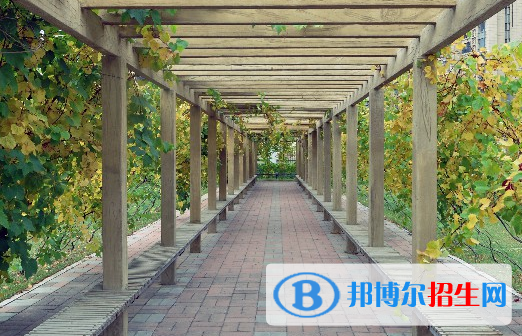 安徽2023年汽修學(xué)?？梢詫W(xué)什么
