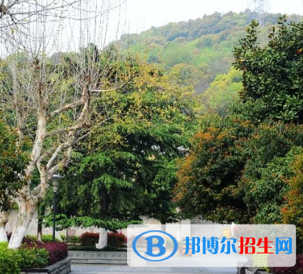 杭州2023年現(xiàn)在中專學校學什么專業(yè)好