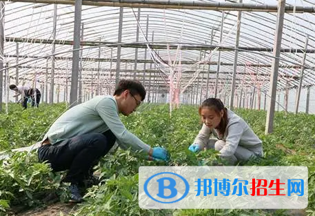 大學農業(yè)工程專業(yè)可以從事哪些工作？