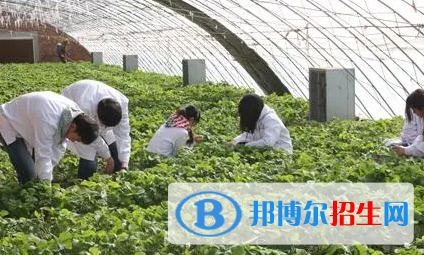 大學(xué)農(nóng)學(xué)專(zhuān)業(yè)可以從事哪些工作？