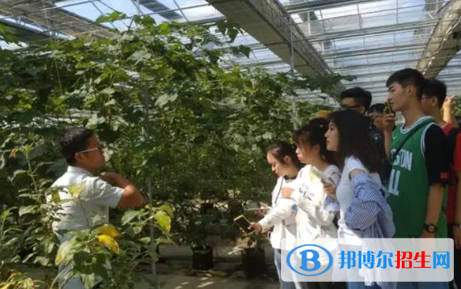 大學農林經(jīng)濟管理專業(yè)可以從事哪些工作？