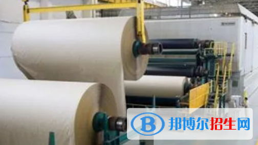 大學(xué)制漿造紙技術(shù)專業(yè)可以從事哪些工作？