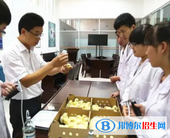 大學動植物檢疫專業(yè)可以從事哪些工作？