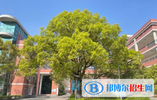 浙江2023年中專學校是什么意思