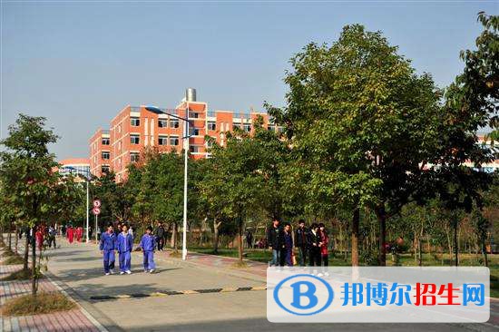 山東2023年初中畢業(yè)可以讀什么中專學校