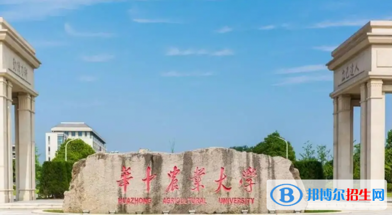 2023湖北物理類585分左右能上什么好大學（本省大學+外省大學）