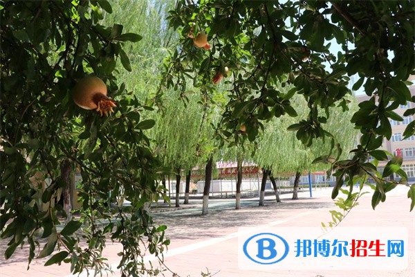 陜西2023年職高和中專(zhuān)學(xué)校哪個(gè)好