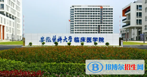 2023安徽理科440分左右能上什么好大學（本省大學+外省大學）