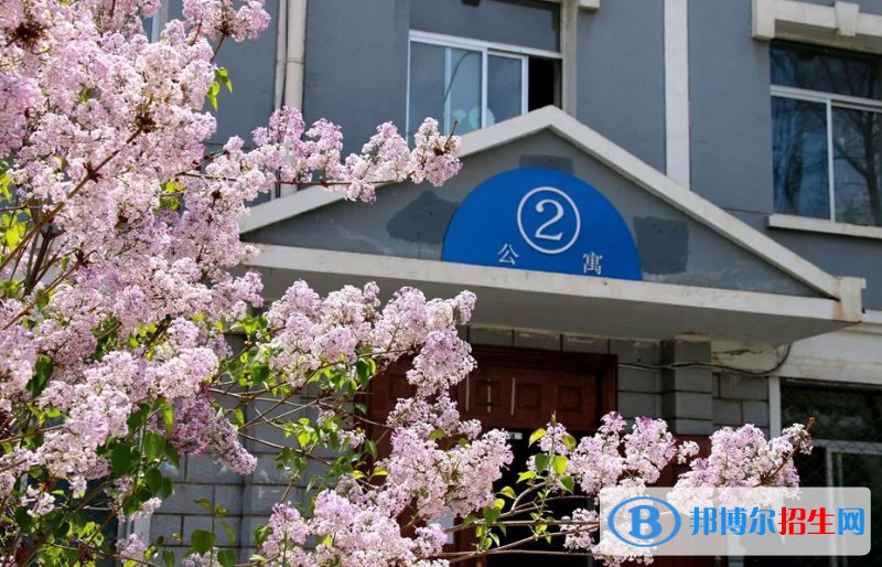 蘭州2023年初中生報什么計算機專業(yè)最好