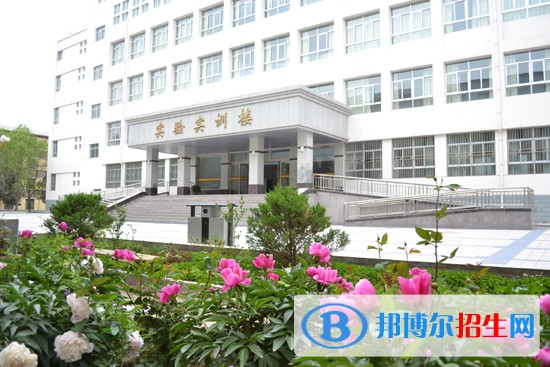 蘭州2023年去計算機學校學什么專業(yè)好