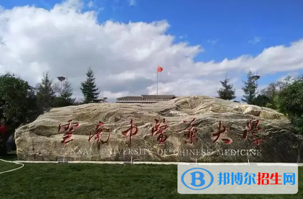 中國大學(xué)傣醫(yī)學(xué)專業(yè)排名(2022應(yīng)用型)