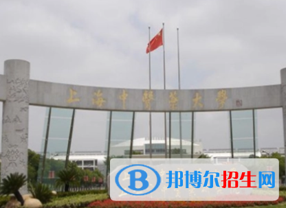 中國(guó)大學(xué)康復(fù)作業(yè)治療專業(yè)排名（2022研究型）