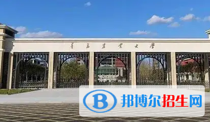 青島農(nóng)業(yè)大學(xué)排名(全國)青島農(nóng)業(yè)大學(xué)在山東排名