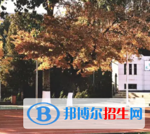 中國(guó)大學(xué)恩德貝萊語(yǔ)專業(yè)排名（2022研究型）