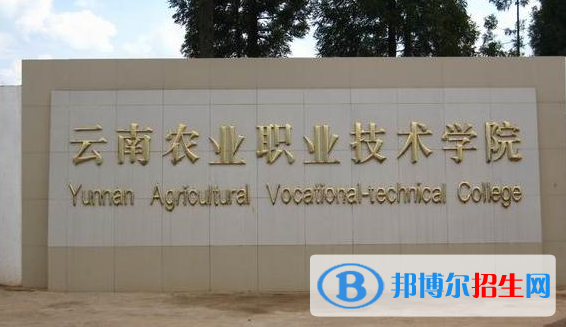 云南單招寵物養(yǎng)護與馴導專業(yè)2023年有哪些學校
