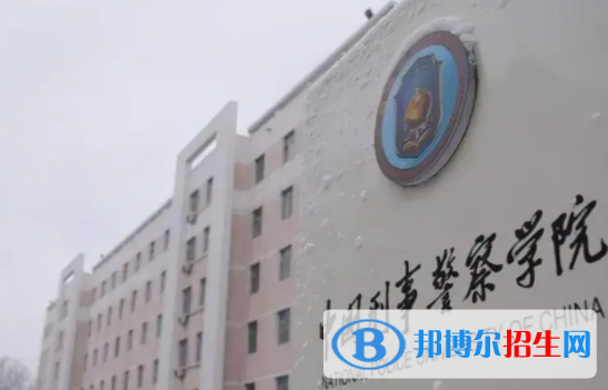 中國(guó)大學(xué)網(wǎng)絡(luò)安全與執(zhí)法專業(yè)排名（2022研究型）