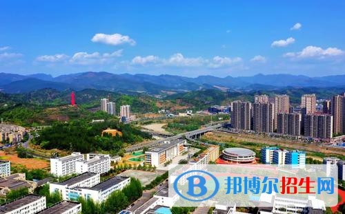 四川2023年設(shè)有計(jì)算機(jī)學(xué)校專(zhuān)業(yè)的公辦大專(zhuān)