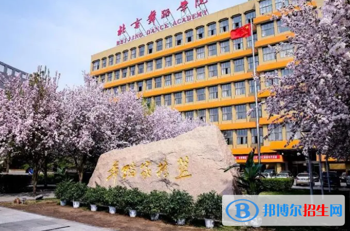 中國(guó)大學(xué)舞蹈教育專(zhuān)業(yè)排名(2022應(yīng)用型)